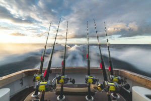 The Irs’ Power To Fish For Records